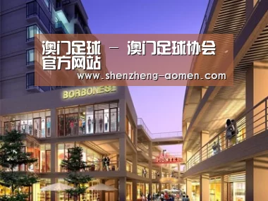 案例展示一